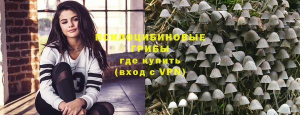 амф Россошь